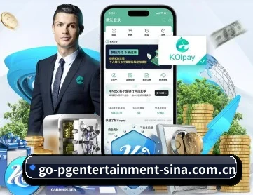 PG娱乐 APP 深度功能