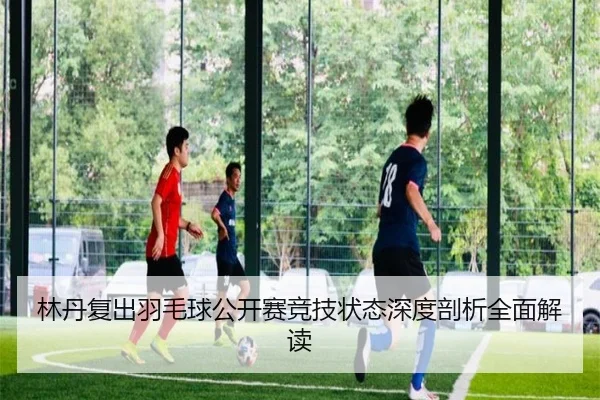 林丹复出羽毛球公开赛竞技状态深度剖析全面解读